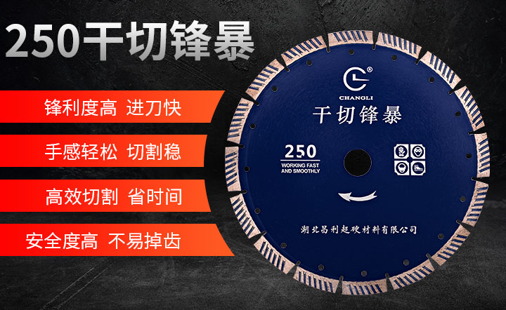 混凝土锯片,混凝土切割片,混凝土切割锯片 250_01.jpg